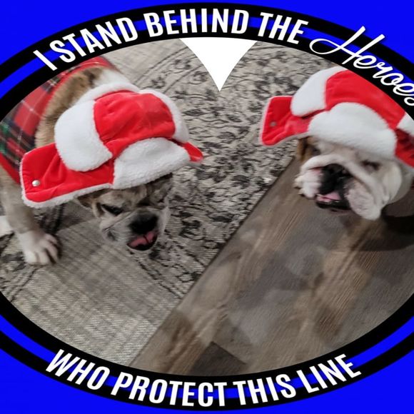 my4bulldogs